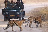 The Samode Safari Lodge, Bandhavgarh, India.